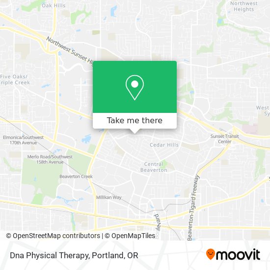 Dna Physical Therapy map