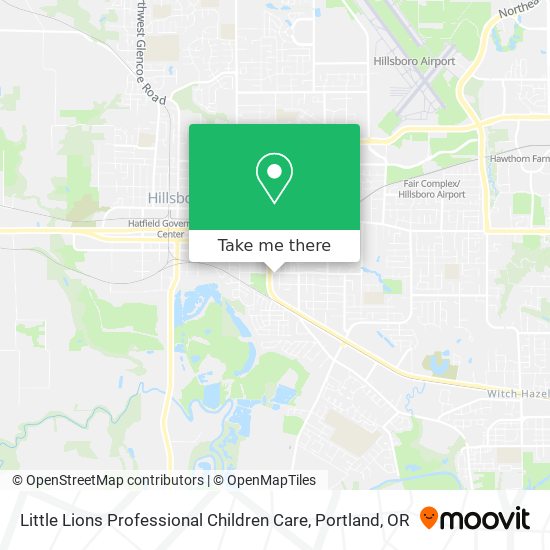 Little Lions Professional Children Care map