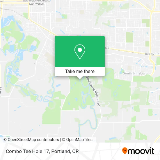 Combo Tee Hole 17 map