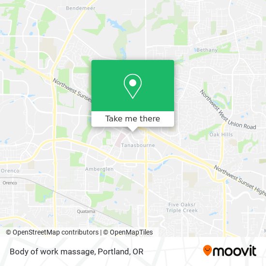 Body of work massage map
