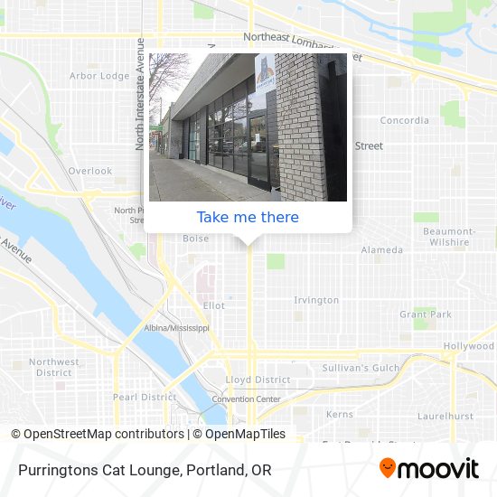 Purringtons Cat Lounge map