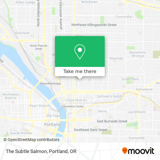 Mapa de The Subtle Salmon