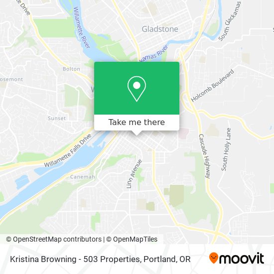 Kristina Browning - 503 Properties map