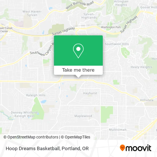 Hoop Dreams Basketball map