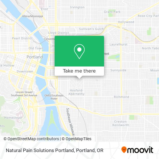 Natural Pain Solutions Portland map