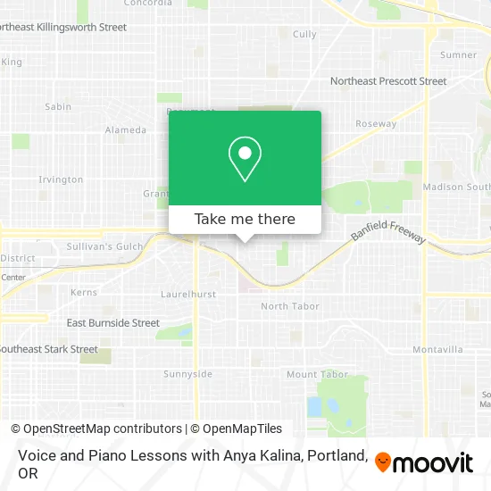 Voice and Piano Lessons with Anya Kalina map