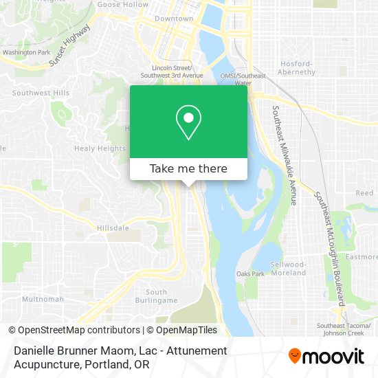 Danielle Brunner Maom, Lac - Attunement Acupuncture map