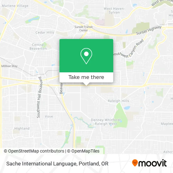 Sache International Language map