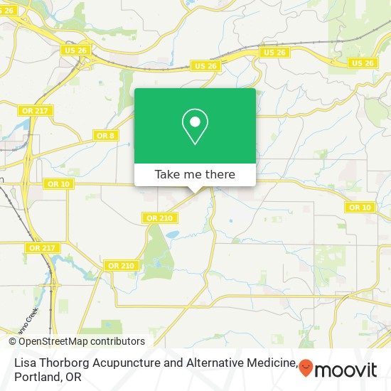Mapa de Lisa Thorborg Acupuncture and Alternative Medicine