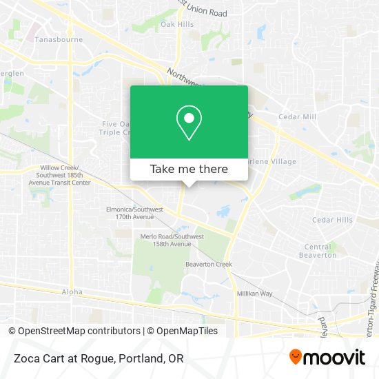 Mapa de Zoca Cart at Rogue