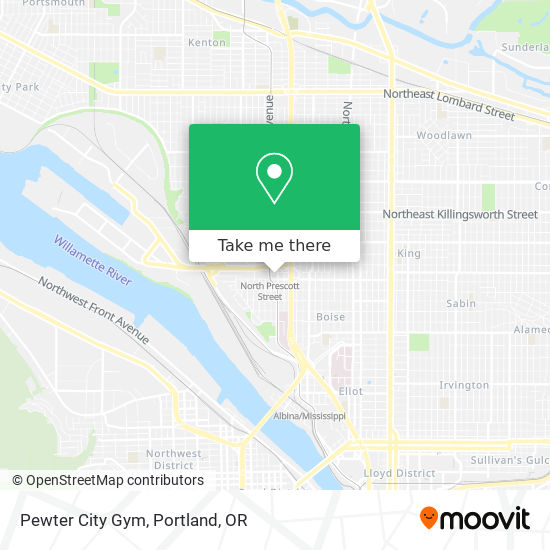 Pewter City Gym map