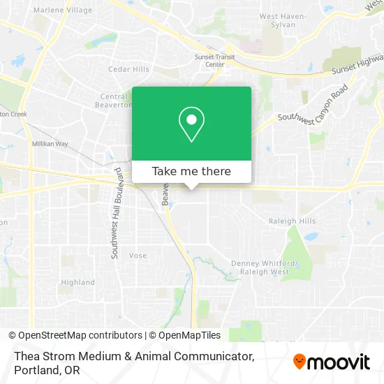 Thea Strom Medium & Animal Communicator map
