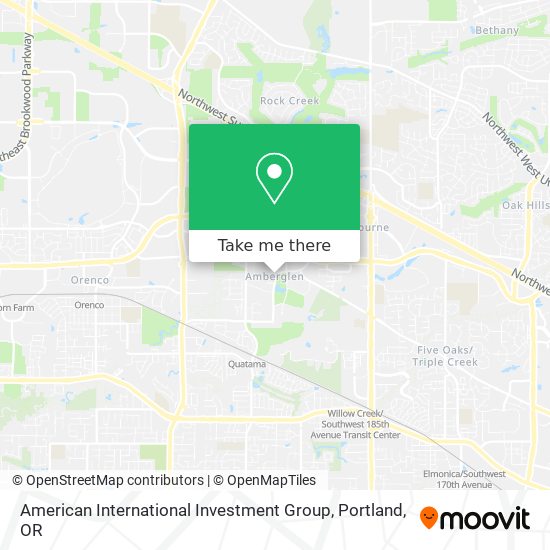 American International Investment Group map
