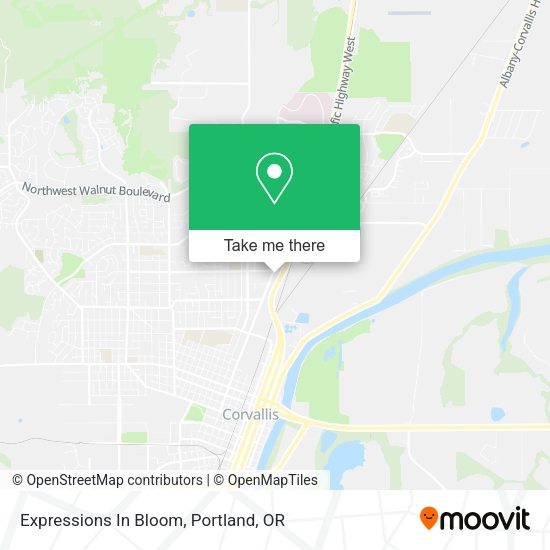 Expressions In Bloom map