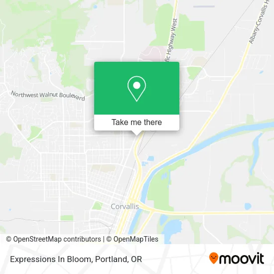 Expressions In Bloom map