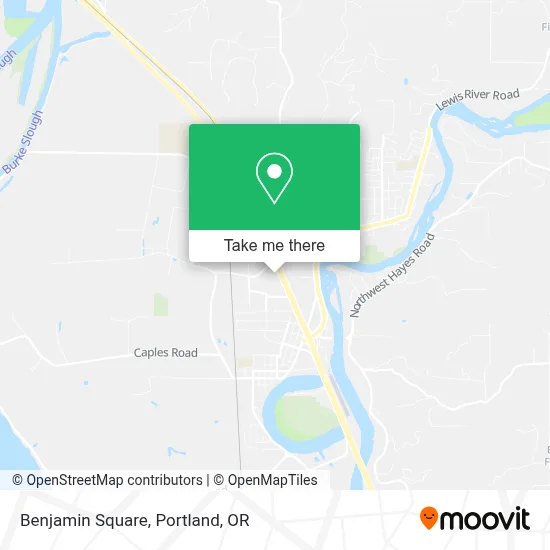 Benjamin Square map