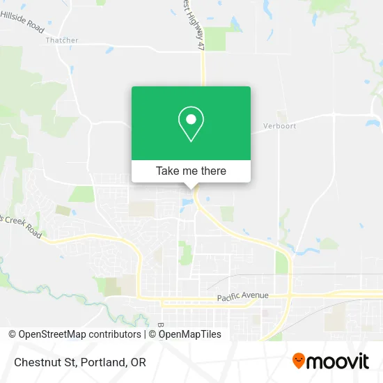 Mapa de Chestnut St