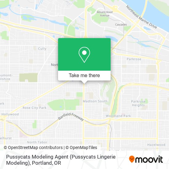 Pussycats Modeling Agent (Pussycats Lingerie Modeling) map
