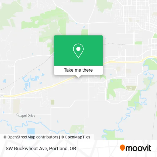 SW Buckwheat Ave map