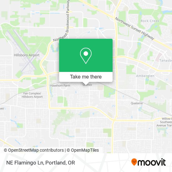 NE Flamingo Ln map