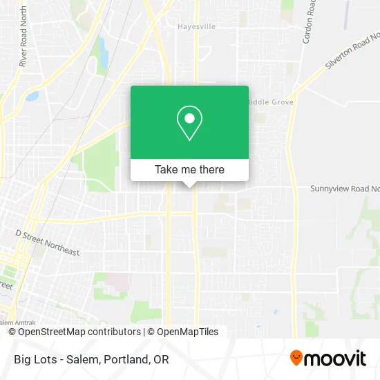 Big Lots - Salem map
