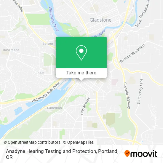 Mapa de Anadyne Hearing Testing and Protection