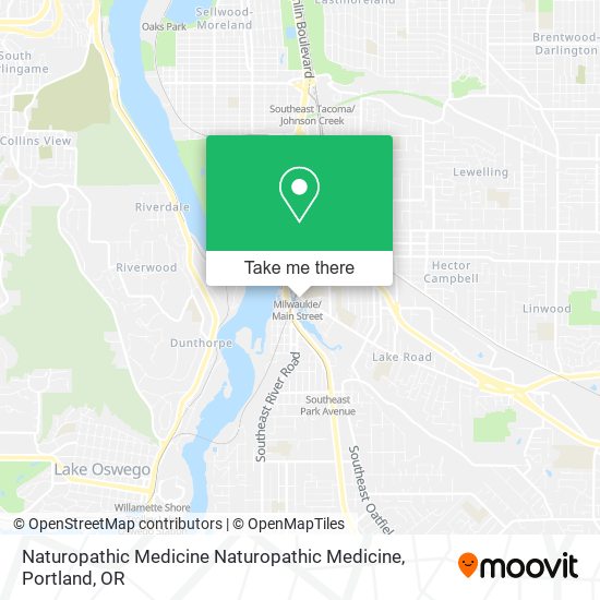 Mapa de Naturopathic Medicine Naturopathic Medicine