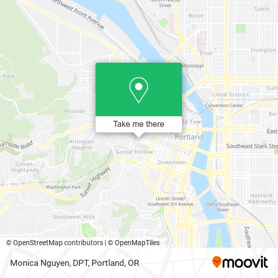 Monica Nguyen, DPT map