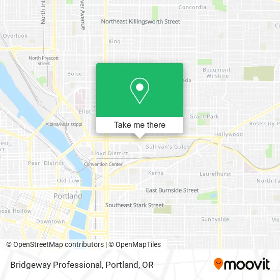 Mapa de Bridgeway Professional