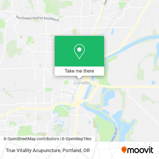 True Vitality Acupuncture map