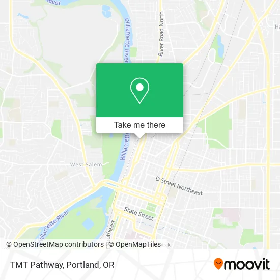 TMT Pathway map