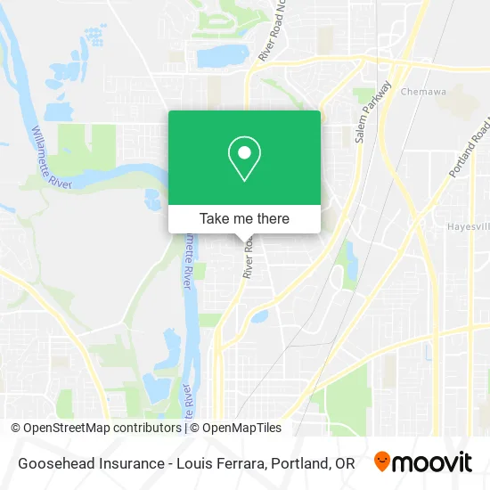 Goosehead Insurance - Louis Ferrara map