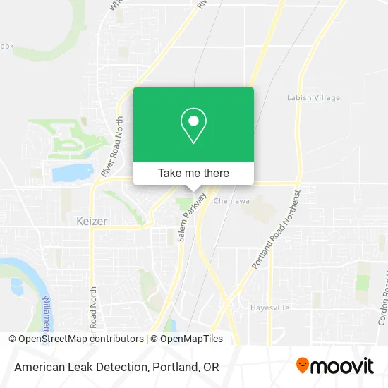 American Leak Detection map