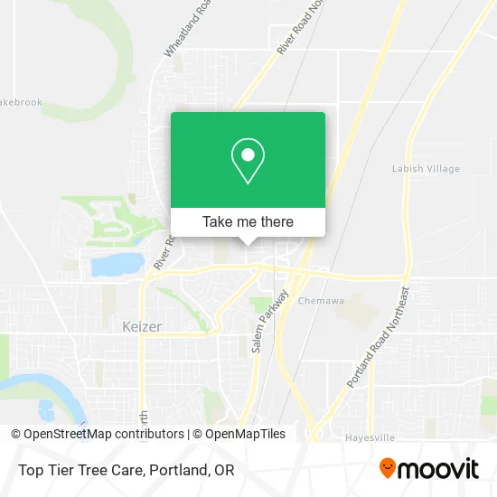 Top Tier Tree Care map