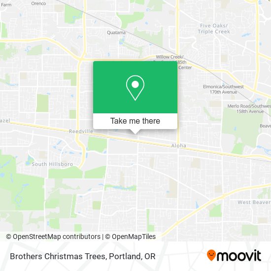 Brothers Christmas Trees map