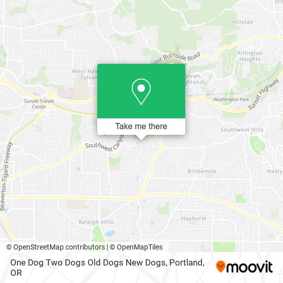One Dog Two Dogs Old Dogs New Dogs map