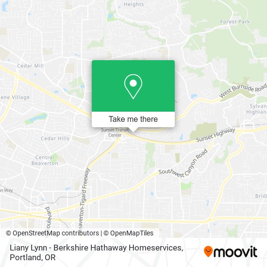 Liany Lynn - Berkshire Hathaway Homeservices map