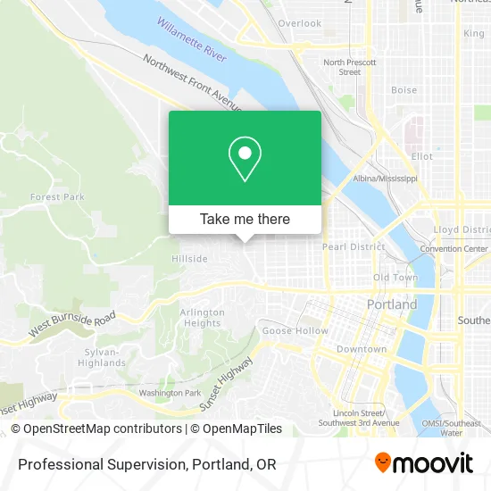 Professional Supervision map