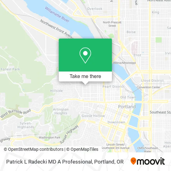 Patrick L Radecki MD A Professional map