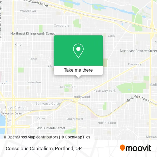 Conscious Capitalism map