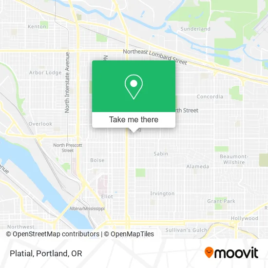 Platial map
