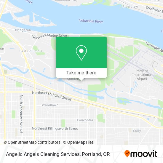 Angelic Angels Cleaning Services map