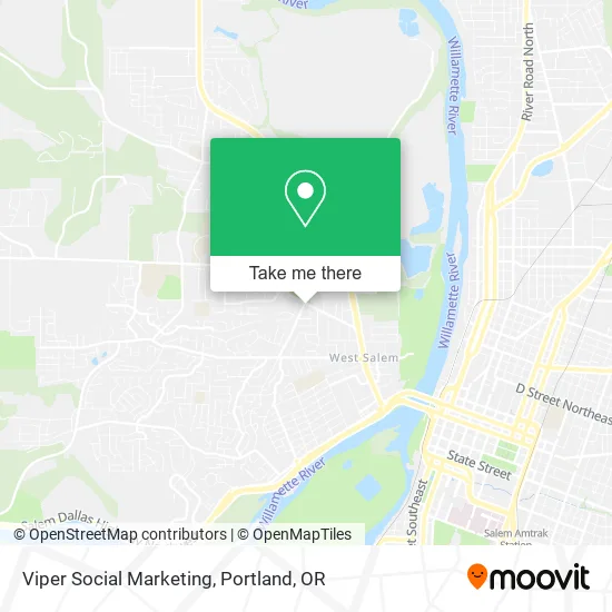 Viper Social Marketing map