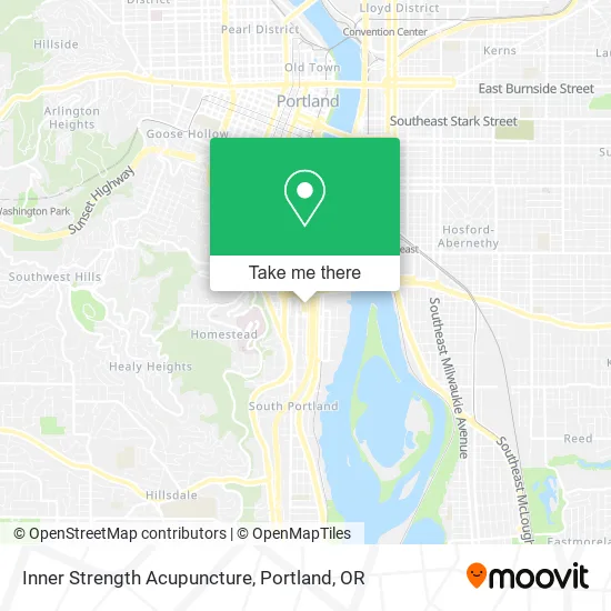 Inner Strength Acupuncture map