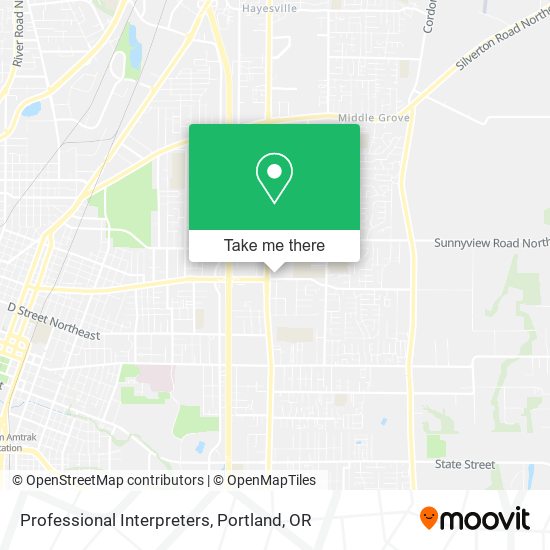 Professional Interpreters map