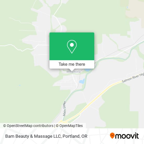 Bam Beauty & Massage LLC map