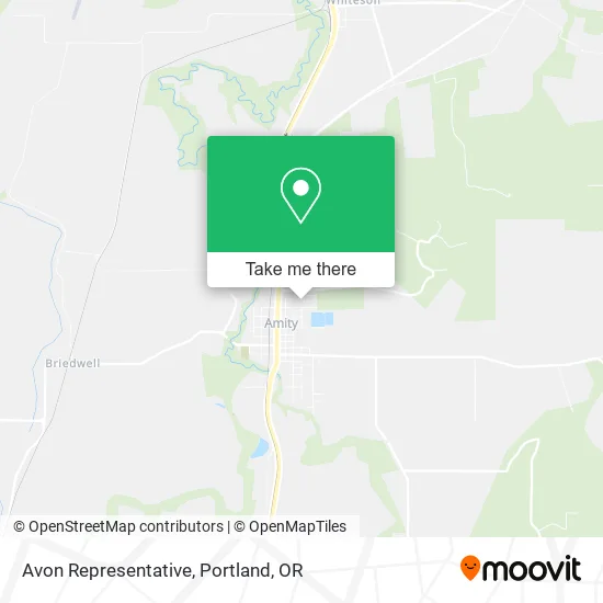 Avon Representative map