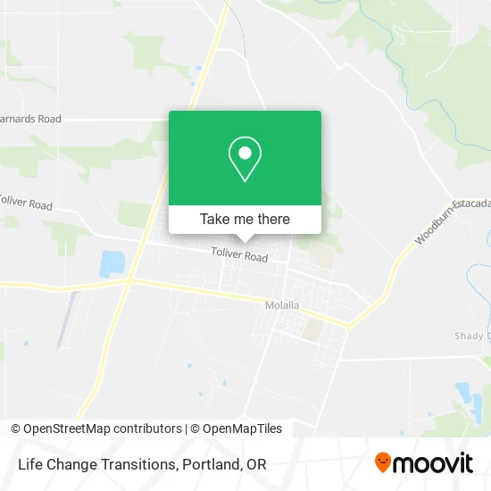 Life Change Transitions map