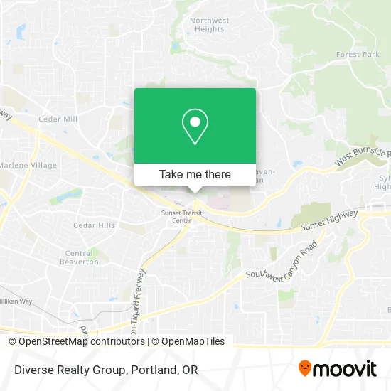 Diverse Realty Group map
