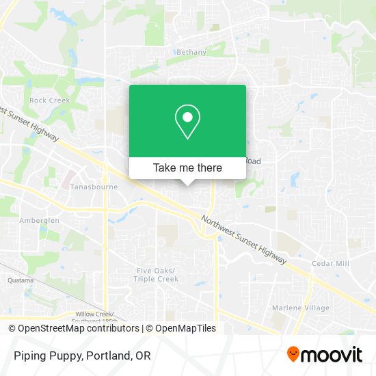 Piping Puppy map